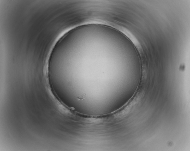 X0000103320996200809192136