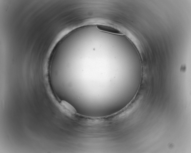 X0000103320997200809192136