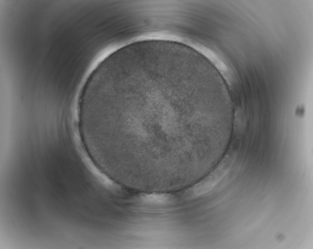 X0000103320998200809192136