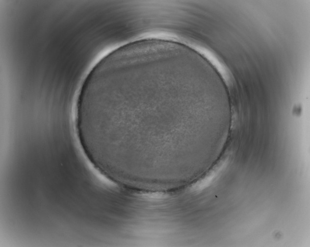 X0000103320999200809192136