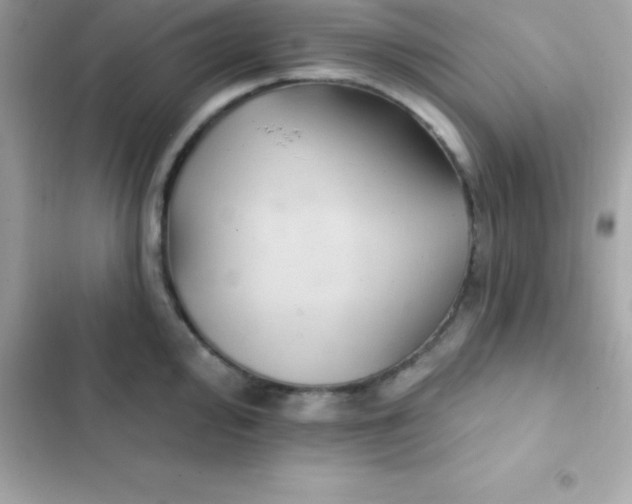 X0000103321000200809192136