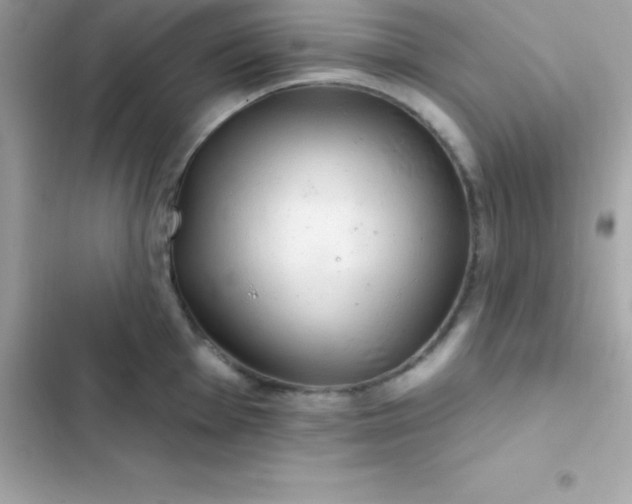 X0000103321001200809192136