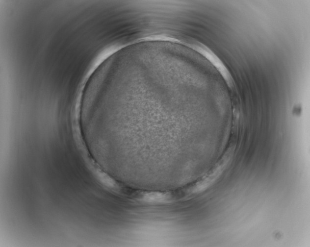 X0000103321002200809192136