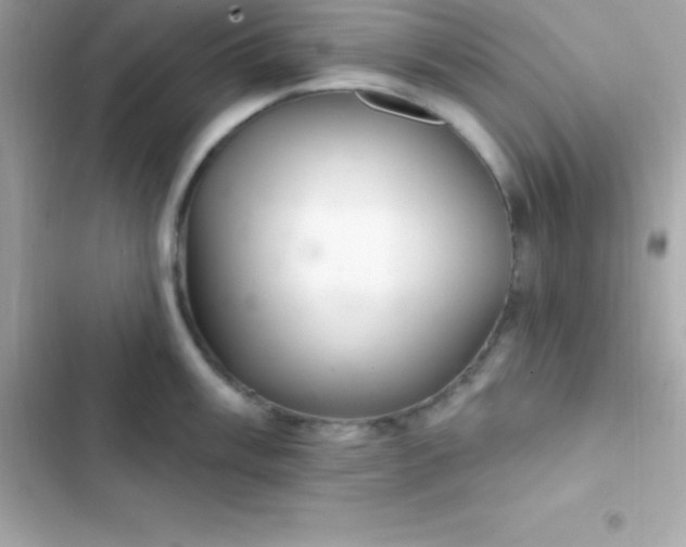 X0000103321003200809192136