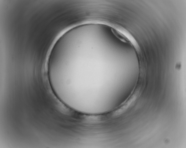 X0000103321004200809192136