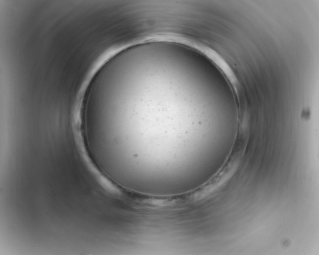 X0000103321005200809192136