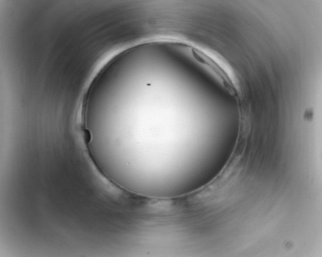 X0000103321006200809192136