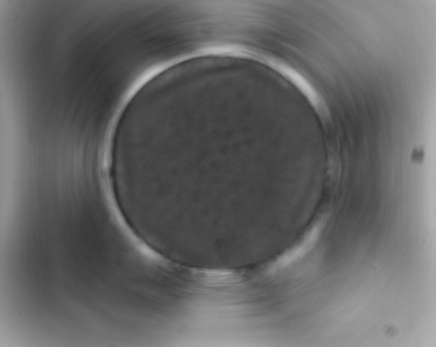 X0000103321007200809192136