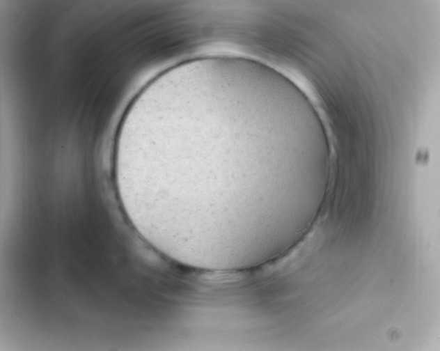 X0000103321008200809192136