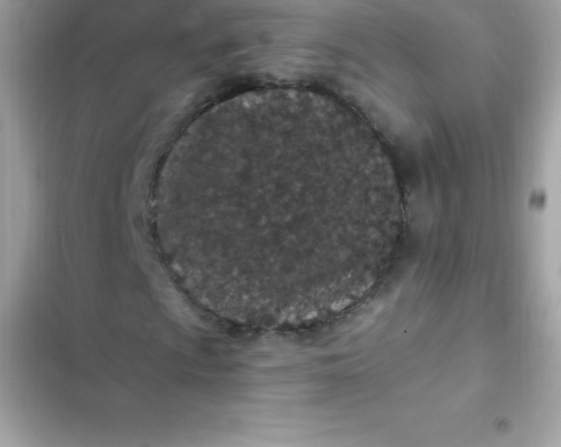 X0000103321009200809192135