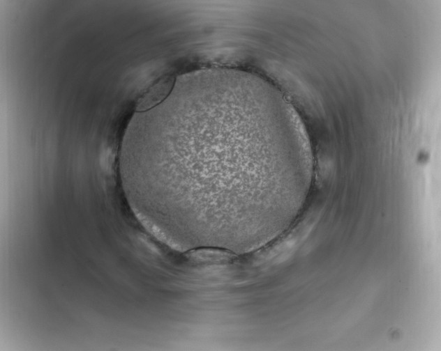 X0000103321010200809192135