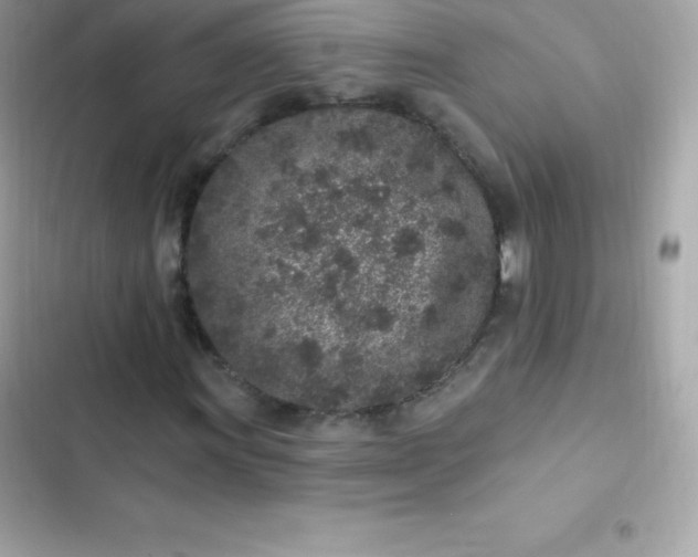 X0000103321011200809192135