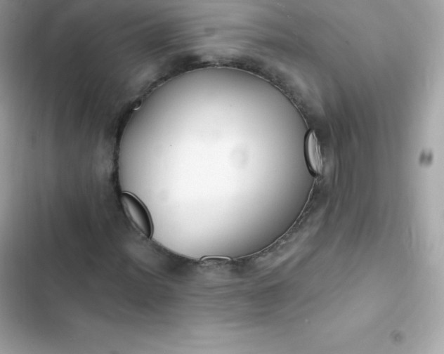 X0000103321012200809192135