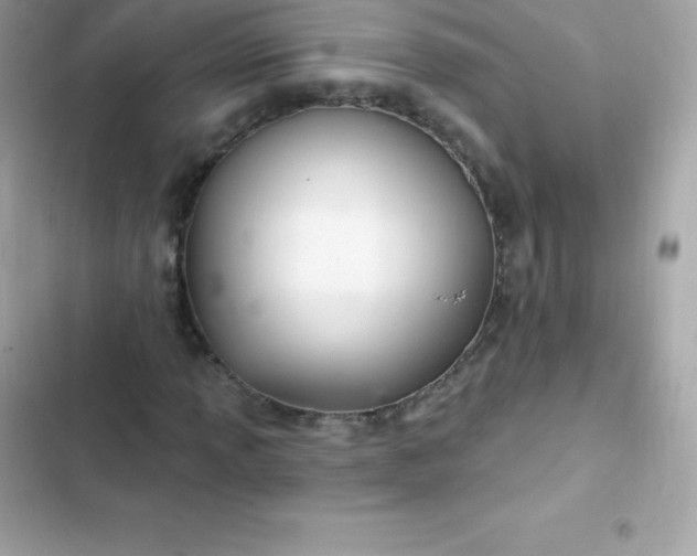 X0000103321013200809192135