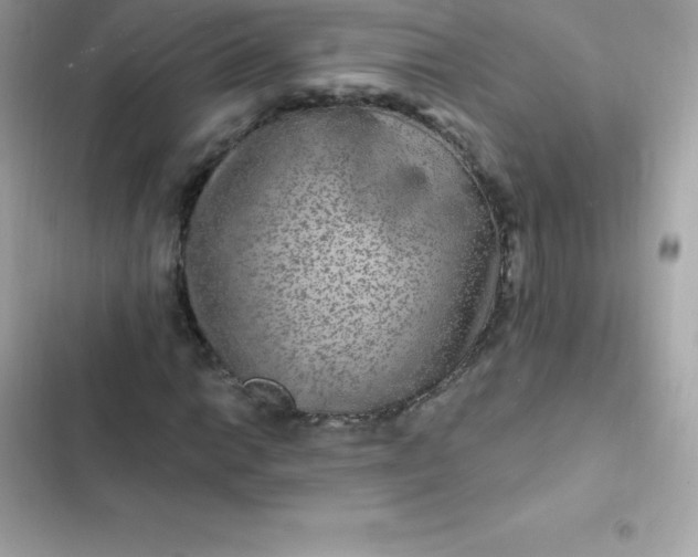 X0000103321014200809192135