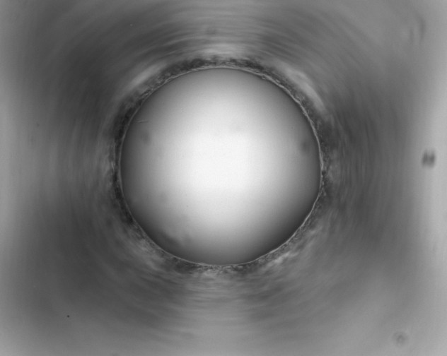 X0000103321015200809192135