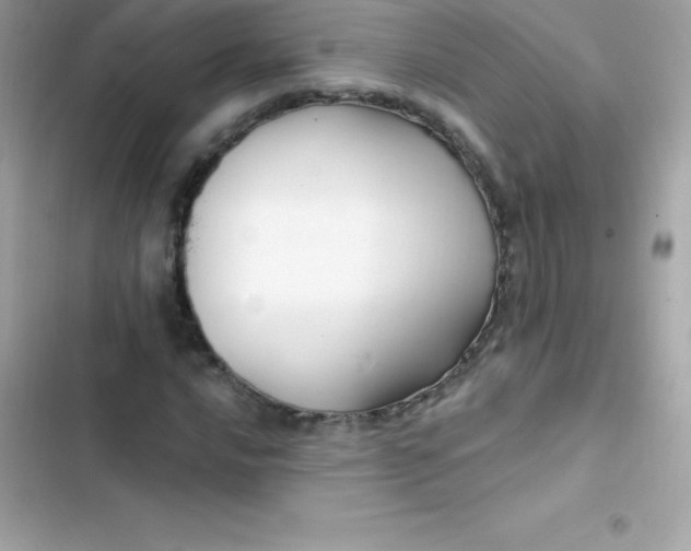 X0000103321016200809192135