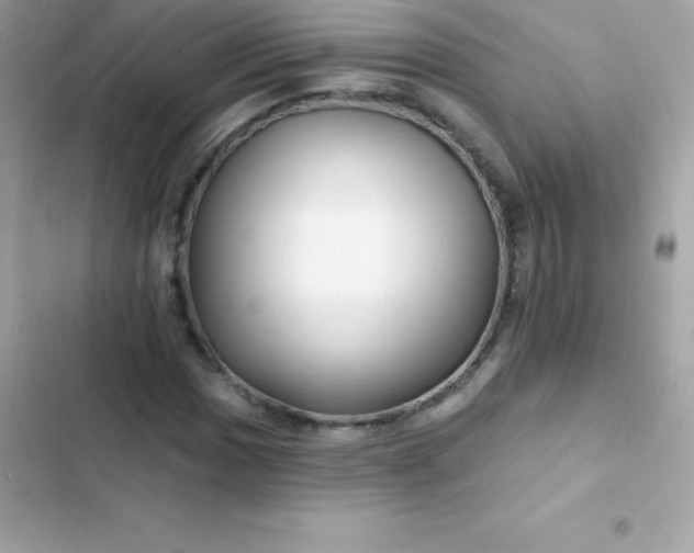 X0000103321017200809192135