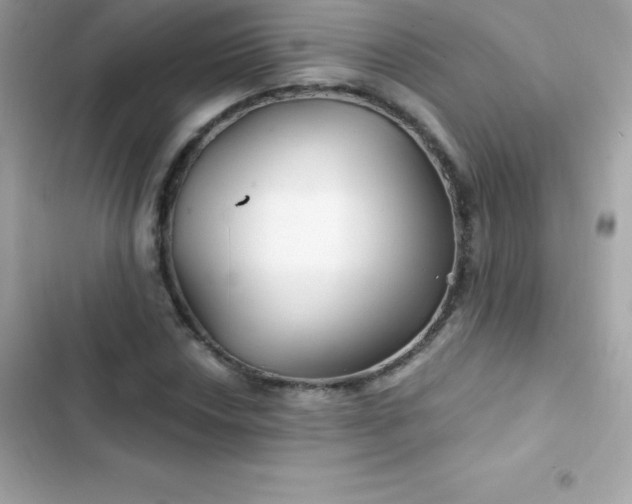 X0000103321018200809192135