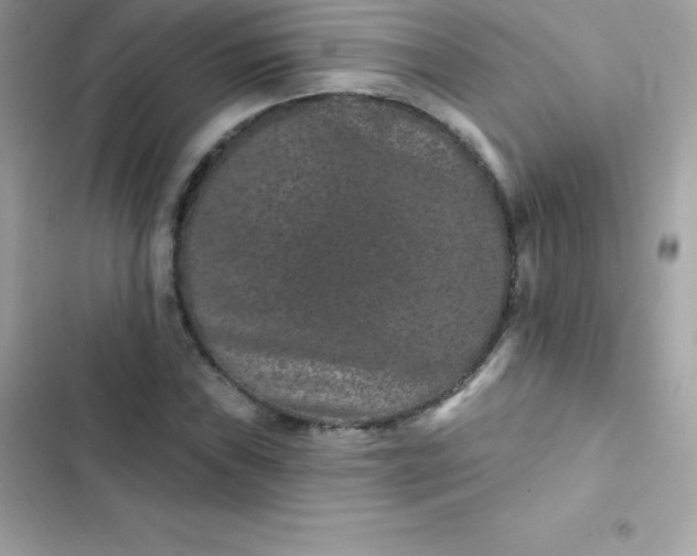 X0000103321019200809192135