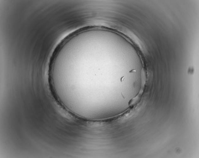 X0000103321020200809192135