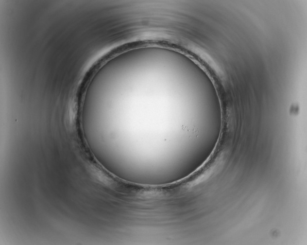 X0000103321021200809192135