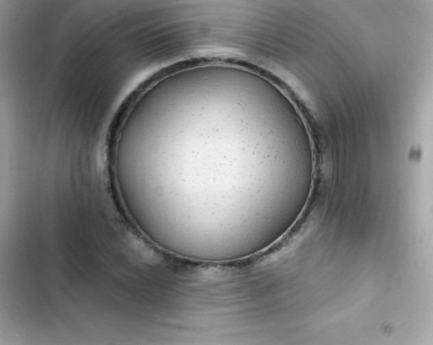 X0000103321022200809192135