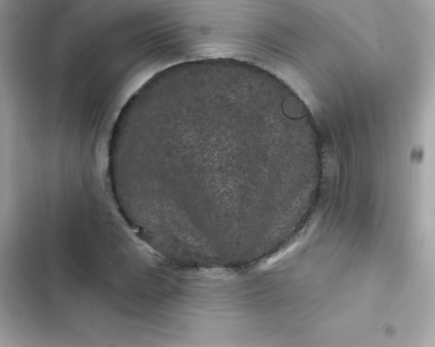 X0000103321023200809192135