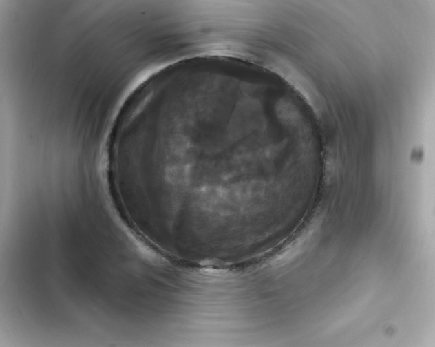 X0000103321024200809192135