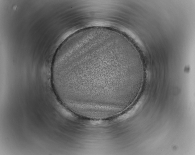 X0000103321025200809192135