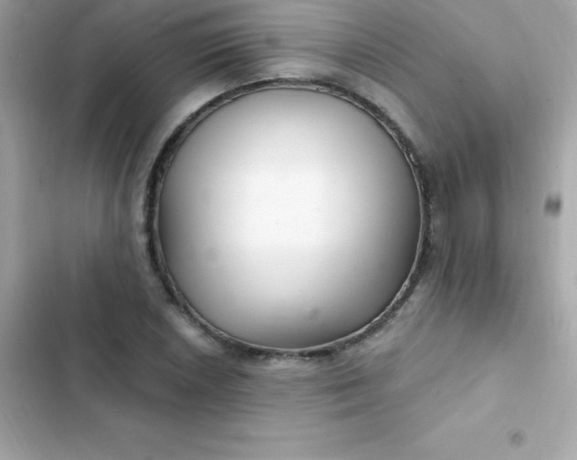 X0000103321026200809192135