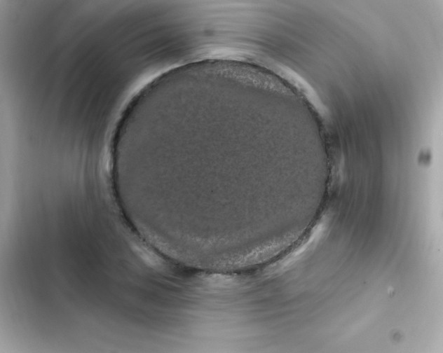 X0000103321027200809192135