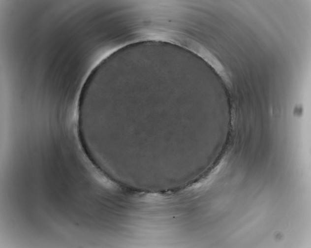 X0000103321028200809192135