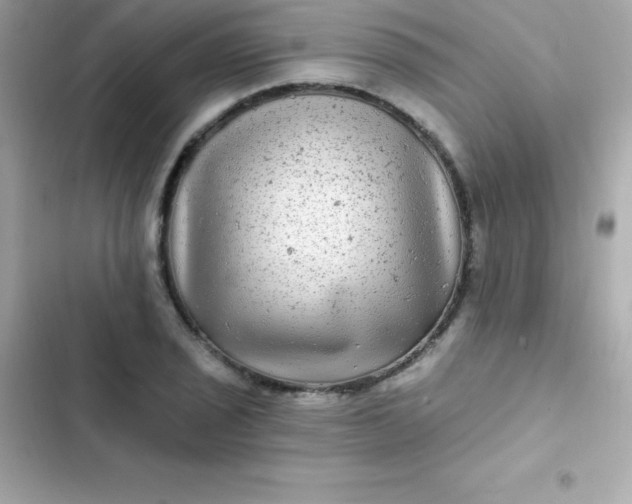 X0000103321029200809192135