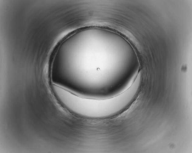 X0000103321030200809192135