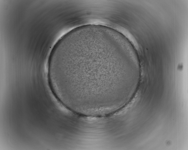 X0000103321032200809192135