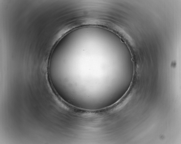 X0000103321033200809192135