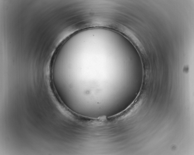 X0000103321034200809192135