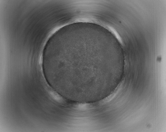 X0000103321035200809192135