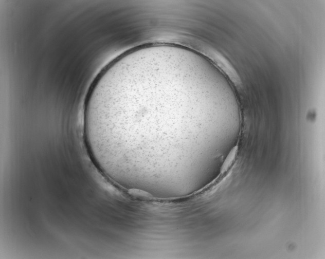 X0000103321036200809192135