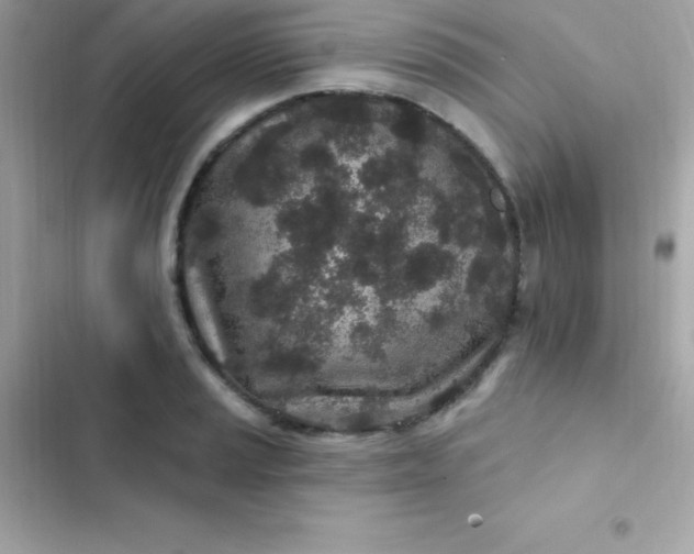 X0000103321037200809192135