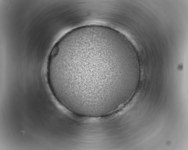 X0000103321038200809192135