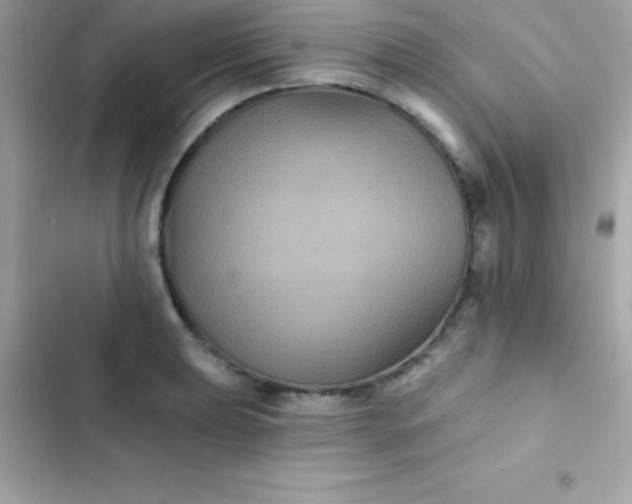 X0000103321039200809192135