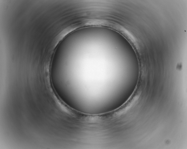 X0000103321041200809192135