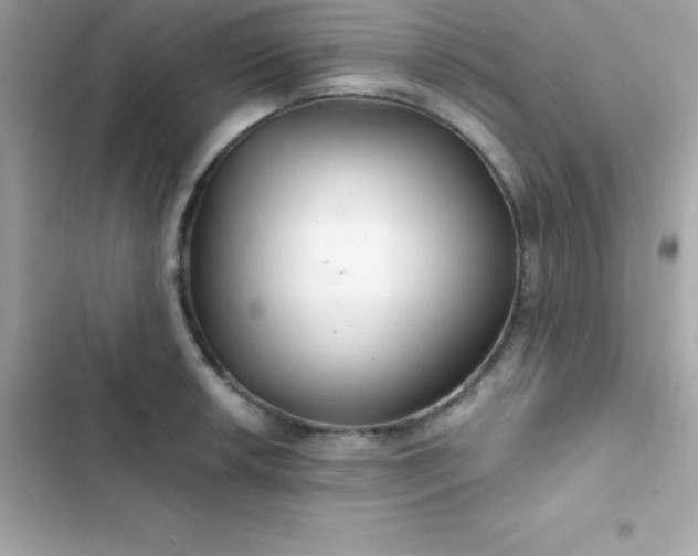 X0000103321042200809192135