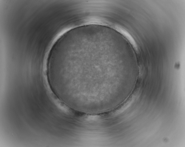 X0000103321043200809192135