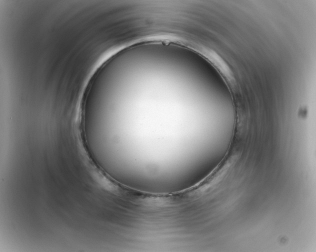 X0000103321044200809192135