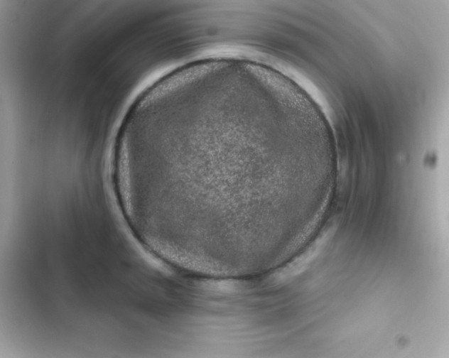 X0000103321045200809192135