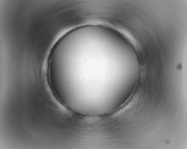 X0000103321046200809192135