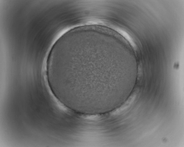 X0000103321047200809192135